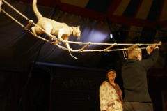 parfum d est 116 * 3504 x 2336 * (4.1MB)